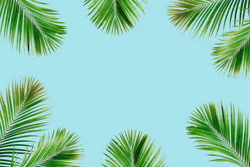 Tropical exotic palm branches frame isolated on blue background. Flat lay, top view, mockup.
