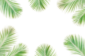 Tropical exotic palm branches frame isolated on white background. Flat lay, top view, mockup.