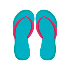 flip flops isolated icon vector illustration design