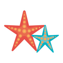 Fototapeta na wymiar starfish summer isolated icon vector illustration design