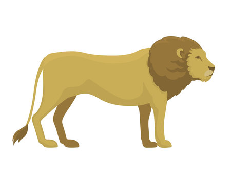 Cute safari lion cartoon vector illustration.
