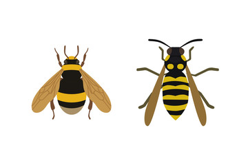 Insect icon flat isolated nature flying honey bee beetle ant and wildlife spider grasshopper or mosquito cockroach animal biology graphic vector illustration.