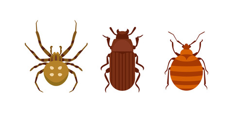 Insect icon flat isolated nature flying bugs beetle ant and wildlife spider grasshopper or mosquito cockroach animal biology graphic vector illustration.