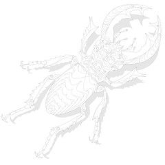 Beetle. Hand drawn sketch.