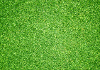 Fototapeta premium grass background Golf Courses green lawn