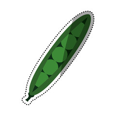 Delicious and fresh vegetable icon vector illustrration graphic design