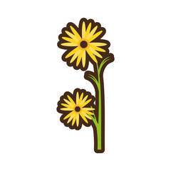 cartoon marigold flower decorative plant vector illustration eps 10