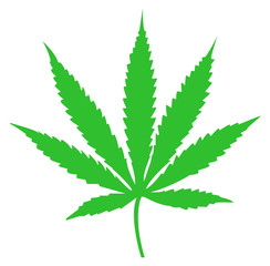 Cannabis (marijuana) leaf