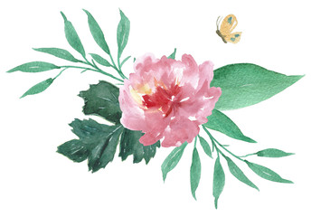 Colorful floral collection with leaves and england rose flowers, drawing watercolor. Design for invitation, wedding or greeting cards