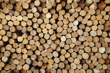 Wood log pile background