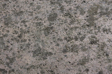 Stone background texture
