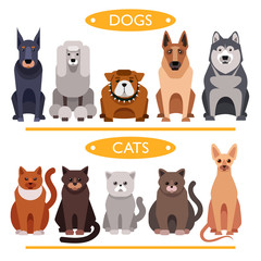 dogs and cats. cartoon vector set