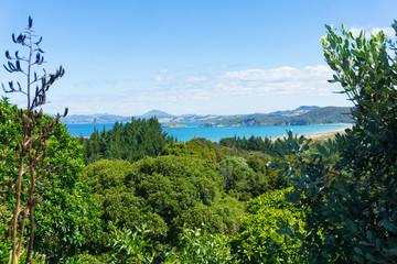 Scenic Tutukaka Coast