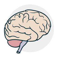 Cartoon Brain Icon