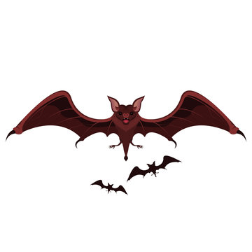 Flying Bat and Vampire Vector and Icon