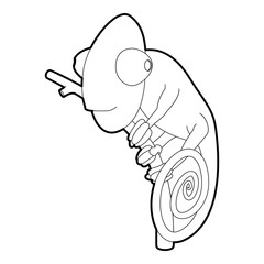 Chameleon icon, outline style