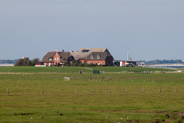 Obraz premium Hallig Langeneß