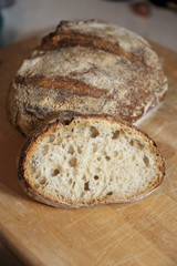 Bread