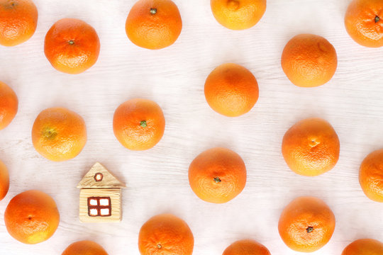 land with orange mood/ layout of a wooden house surrounded by ripe fruits tangerine