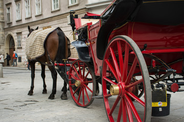 Traditional travel on a trip with horse carriage ride in the center of Vienna