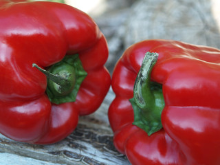 Pepper