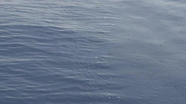 Rain on water. Yachts and boats of regatta. Beautiful tourism. Adventures in the ocean on background coast where river Krka flows into Adriatic Sea in Europe.