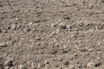 black earth soil