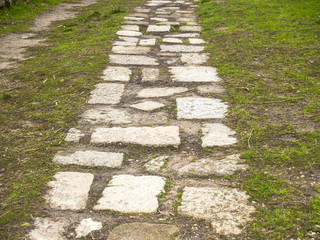 Texture of a pavement floor with moss
