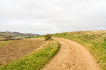 Isle of Wight Landscape