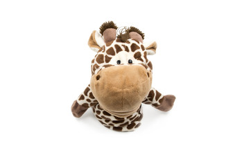 toy giraffe white background