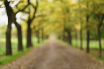 blurred background of alley in autumn park, real lens bokeh