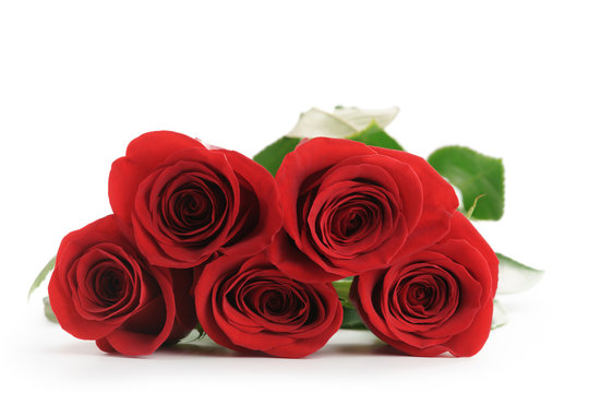 five fresh red roses isolated on white background