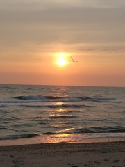 Sonnenunterg&auml;nge an der Nordsee