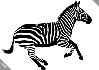 Fototapeta na wymiar black and white linear paint draw zebra vector illustration