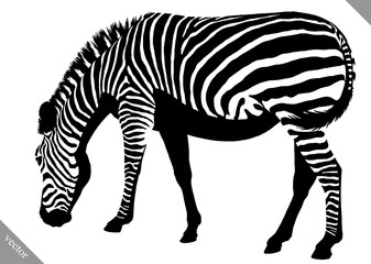 Fototapeta na wymiar black and white linear paint draw zebra vector illustration