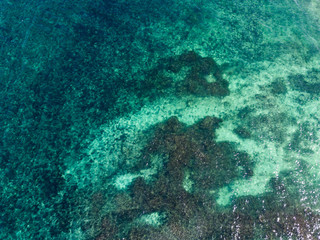 Plage de la côte Est de l'Île Maurice