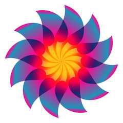 Fototapeta premium Colorful Flower