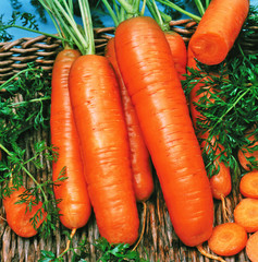 Fresh carrots