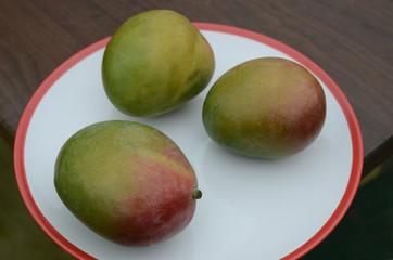 Mango