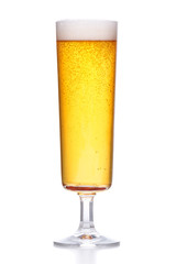 light beer with foam on white .