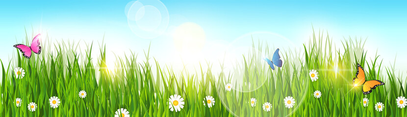 Fototapeta premium Spring Landscape Green Grass Blue Sky Land Banner Flat Vector Illustration