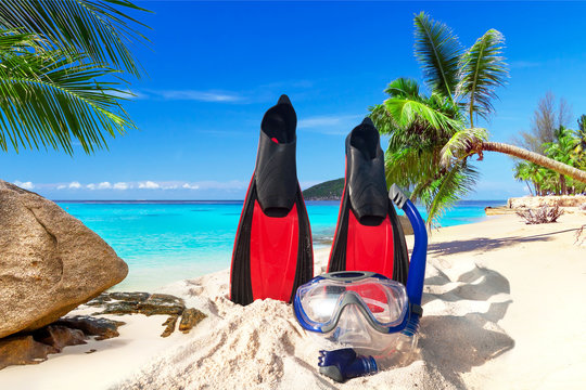 Snorkeling mask and fins on the tropical beach