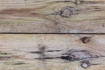 Obraz premium Textures of the wood. Background panels. 