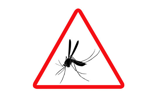 zone infect&eacute;e moustiques