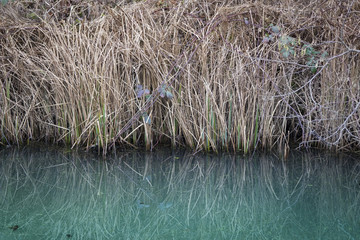 Turquoise water in a small pond