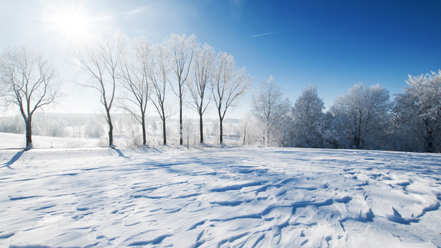 Die Schneeverwehung 