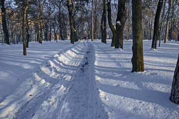 Winter snow garden in Sofia park