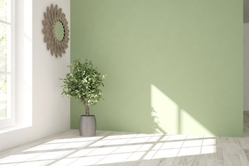 Green empty room with flower. Scandinavian interior design
