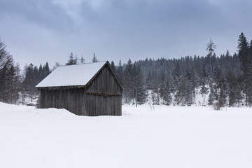 Schnee und eine Hütte im verschneiten Wald