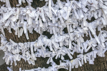 上目黒氷川神社